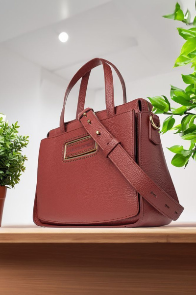 CS687coccio-1
